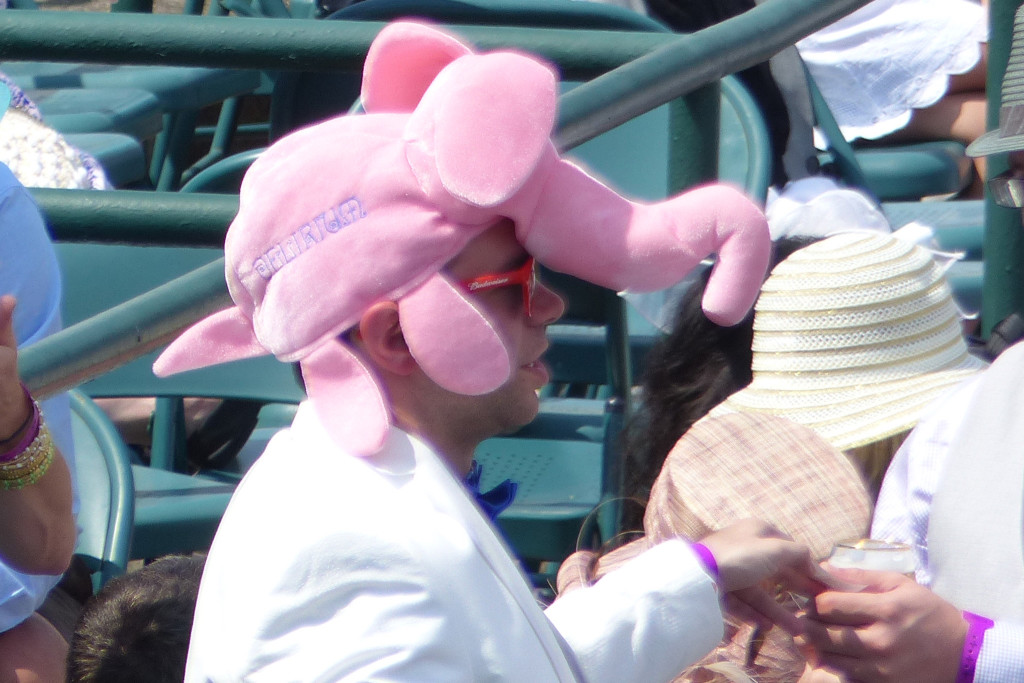 P1010570_crop