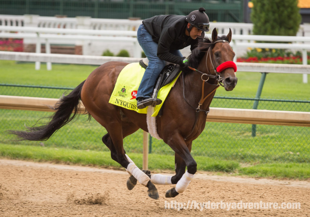 Kentucky Derby 142 favorite Nyquist gallops around Churchill Downs Tuesday before the big race on Saturday.
