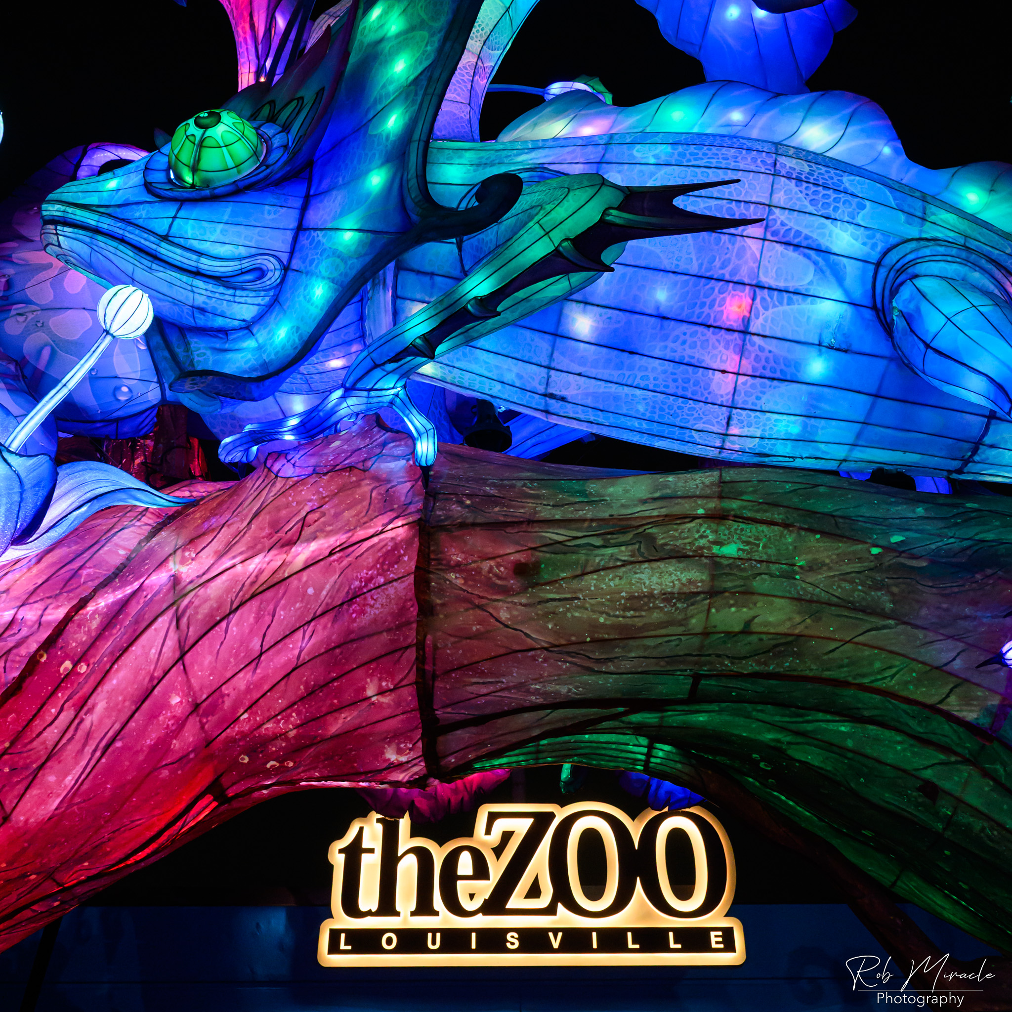 A colorful Chinese lantern arch greats guests over the Zoo Louisville sign.