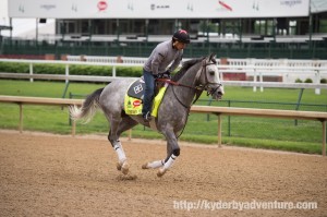 DawnAtTheDowns013 