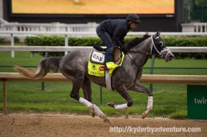 DawnAtTheDowns020 