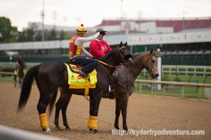 DawnAtTheDowns021 