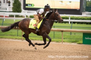 DawnAtTheDowns024 