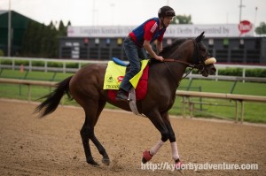 DawnAtTheDowns028 