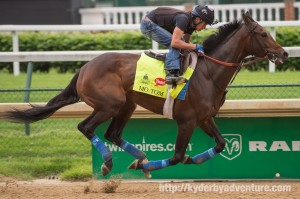 DawnAtTheDowns044 