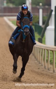 DawnAtTheDowns045