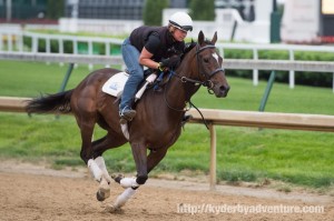 DawnAtTheDowns046