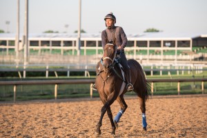 DawnAtTheDowns046 1