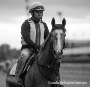 DawnAtTheDowns047
