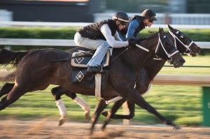 DawnAtTheDowns047 1