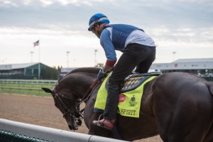 DawnAtTheDowns051
