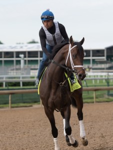 DawnAtTheDowns052