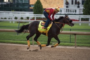 DawnAtTheDowns061