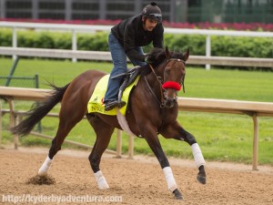 Nyquist 